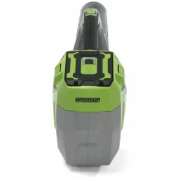 Warrior Eco Power - Souffleur de feuilles sans fil 60v sans batterie ni chargeur Best