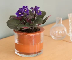 Wet Pot Systems Pots, Jardinières Et Carrés Potagers | - Pot à réservoir d’eau en terre cuite – Taille S