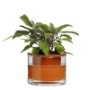 Wet Pot Systems Pots, Jardinières Et Carrés Potagers | - Pot à réservoir d’eau en terre cuite – Taille XS