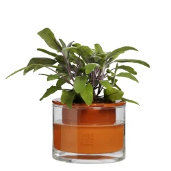 Wet Pot Systems Pots, Jardinières Et Carrés Potagers | - Pot à réservoir d’eau en terre cuite – Taille XS