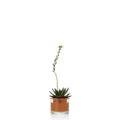 Wet Pot Systems Pots, Jardinières Et Carrés Potagers | - Pot à réservoir d’eau en terre cuite – Taille XS