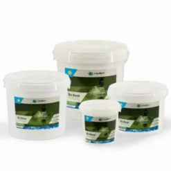 Willemse France Bassins Et Fontaines | - Activateur de bactéries anti-vase - traitement de bassin moerings bio boost - 1l