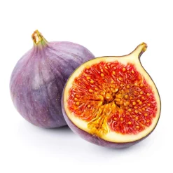 Willemse France Fruitiers Et Agrumes | - Figuier perretta - le pot / ø 13cm / hauteur livrée 20-30cm