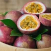 Willemse France - Fruit de la passion frederick - le pot / ø 9cm / hauteur livrée 20-40cm, vendu par lot de 4