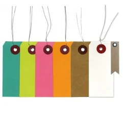 Youdoit Librairie Et Papeterie | - 140 étiquettes multicolores 9 x 4 cm + 20 étiquettes kraft fanion