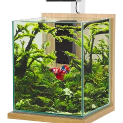 Zolux Aquariums Et Meubles | - Aquarium équipé Jalaya XL chêne clair - 18,7 litres