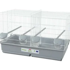 Zolux Cages, Volières Et Accessoires | - Cage en plastique éco.conçu oiseaux domestiques primo 69 x 39 x 44.5 cm
