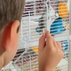 Zolux - Cage sur 2 étages pour hamsters, souris et gerbilles - rody3 duo - l 41 x p 27 x h 40,5 cm - grenadine