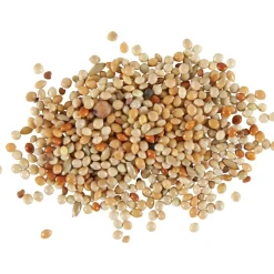 Zolux - Graines alimentation oiseaux exotique nutrimeal, 800g. Clearance