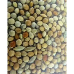 Zolux - Graines, alimentation oiseaux exotique nutrimeal - 12kg Discount
