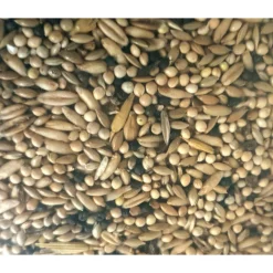 Zolux Alimentation | - Graines pour canaris sac de 3 kg pour oiseaux
