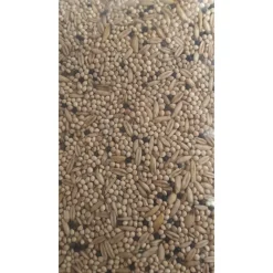 Zolux - Graines pour perruches sac de 800 g pour oiseaux Outlet