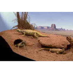 Zoomed Décoration Et Substrats | - Substrat Excavator pour Terrarium - 4,5Kg