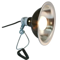 Zoo Med Eclairage | - Support de lampe zoomed deluxe porcelaine clamp lampe 25 cm pour terrarium